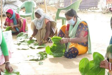 livelihood